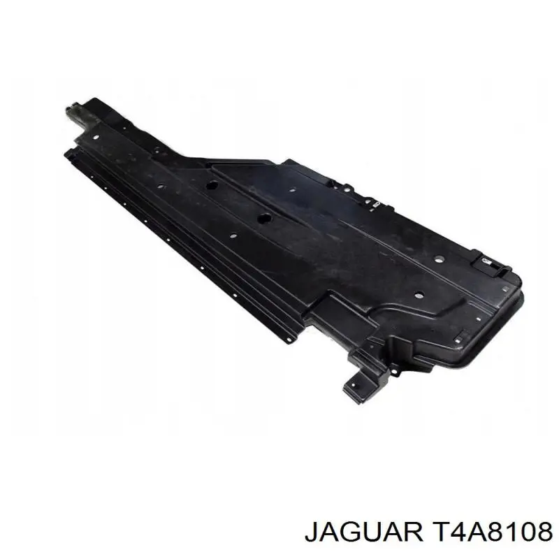 T4A8108 Jaguar 