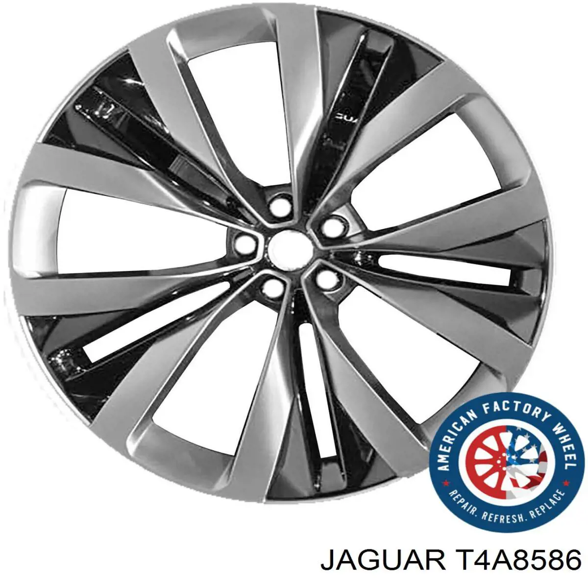  T4A8586 Jaguar