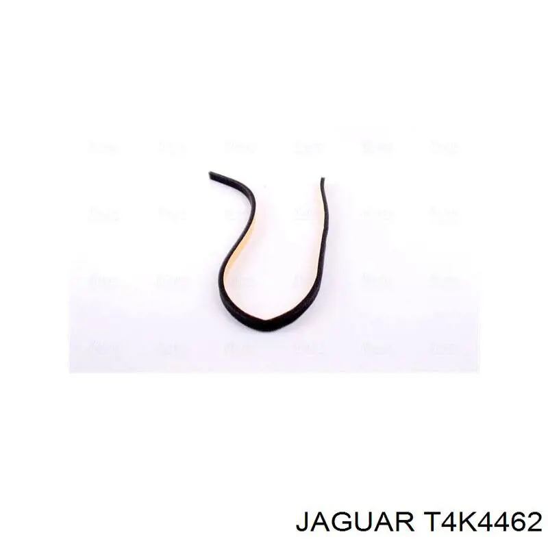 Купить T4K4462 Jaguar 