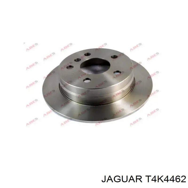  T4K4462 Jaguar
