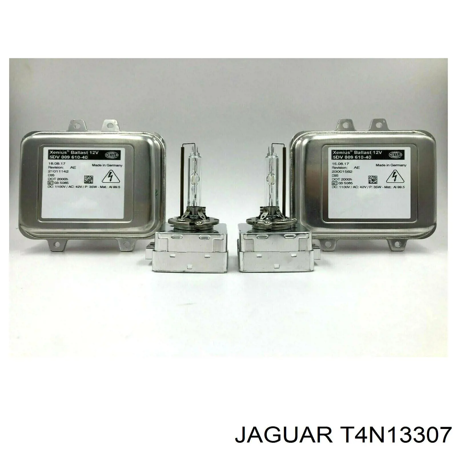  T4N13307 Jaguar