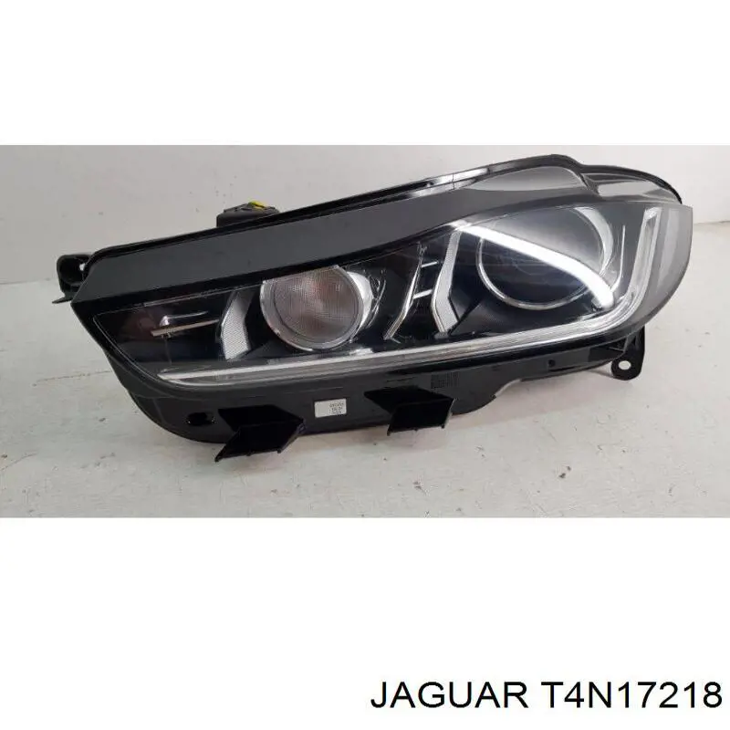 T4N13850 Jaguar 