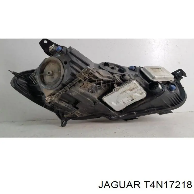  T4N17218 Jaguar