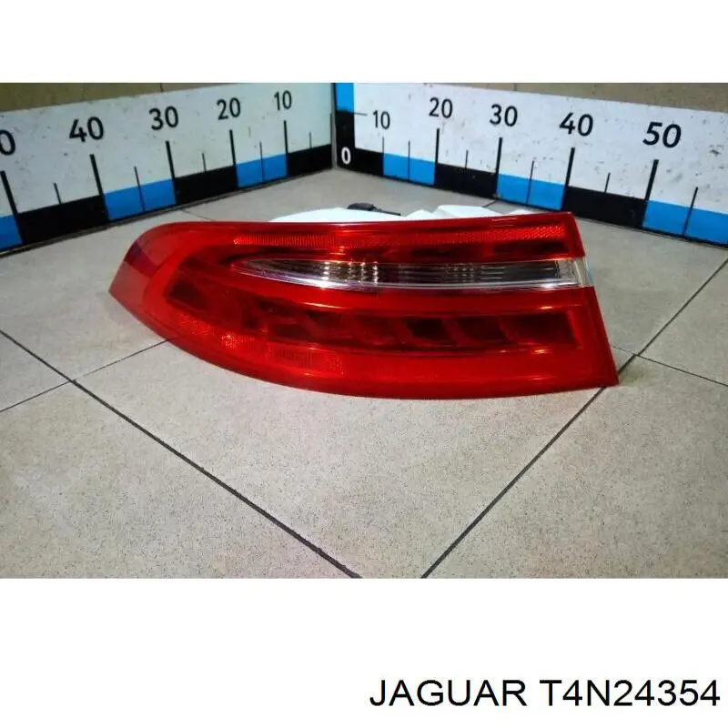  T4N24354 Jaguar