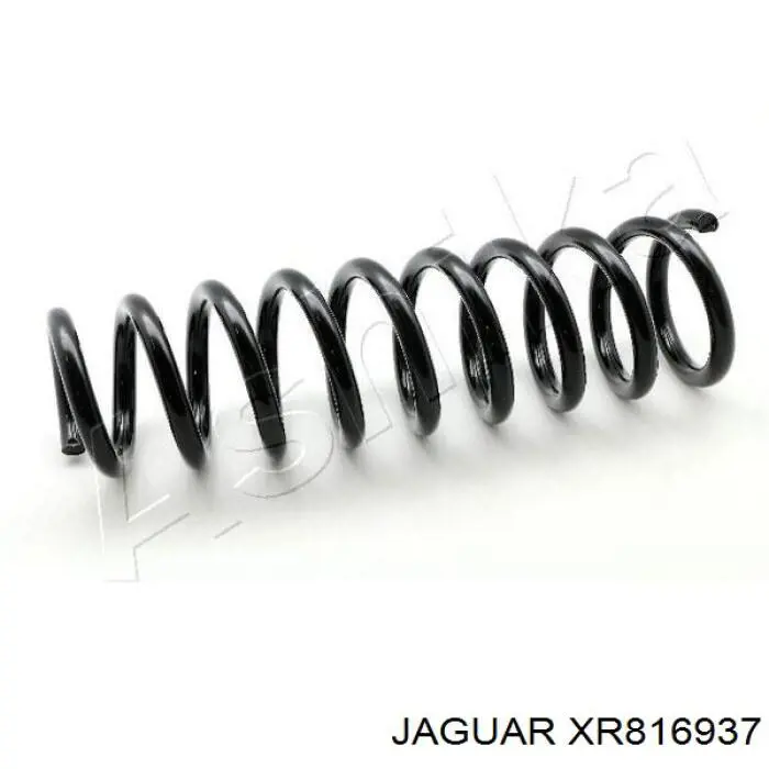 XR816937 Jaguar пружина передняя