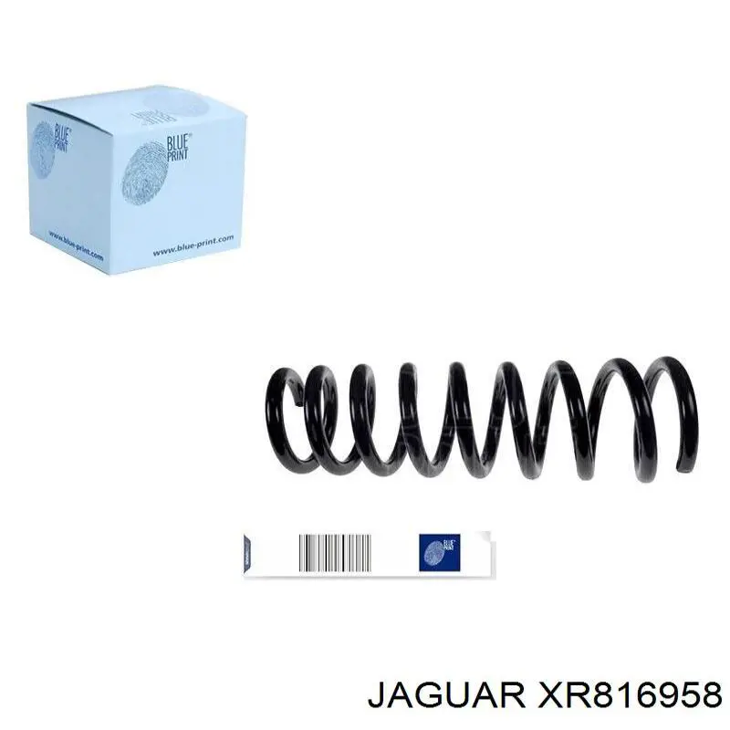 XR816958 Jaguar mola traseira