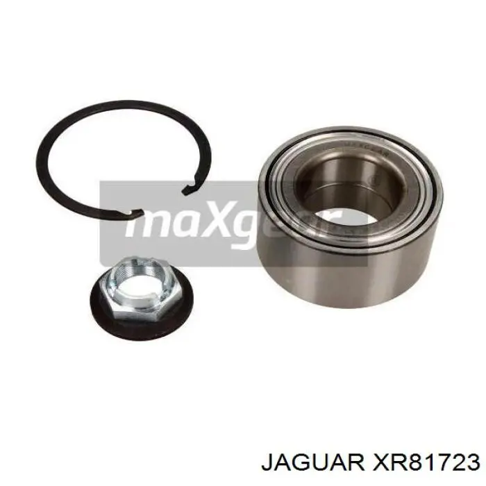  XR81723 Jaguar