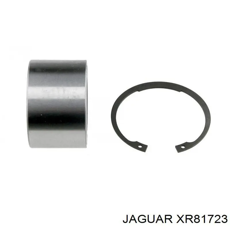 Купить XR81723 Jaguar 