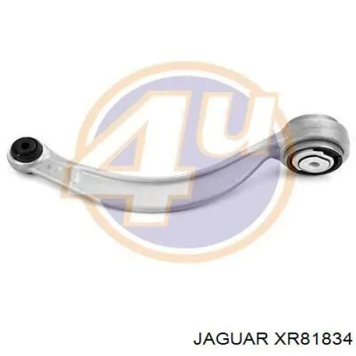 XR81834 Jaguar 