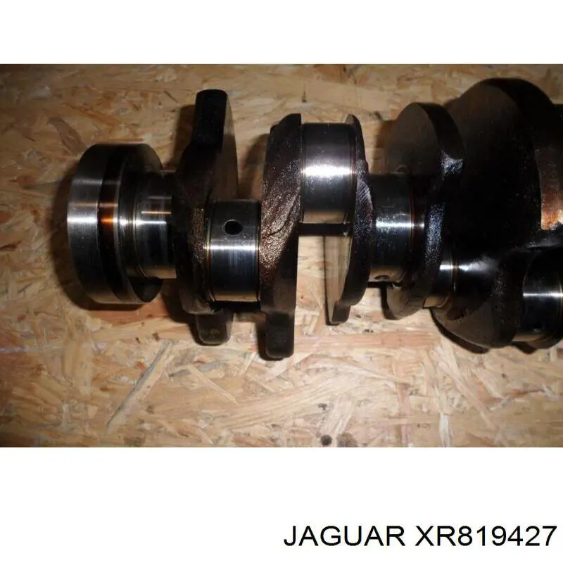 XR819427 Jaguar 