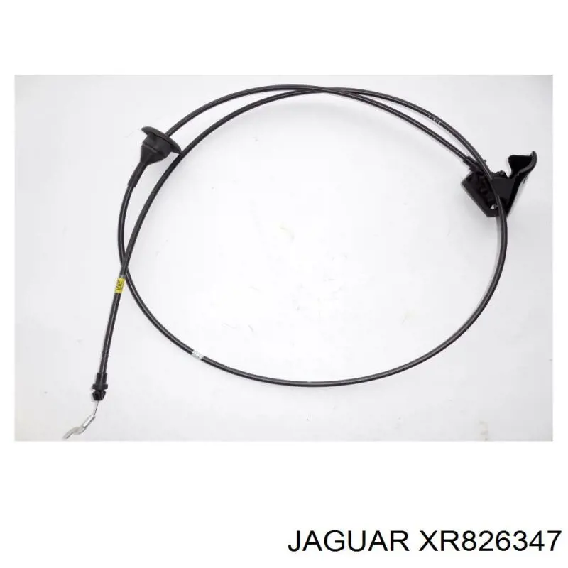 XR82461 Jaguar 