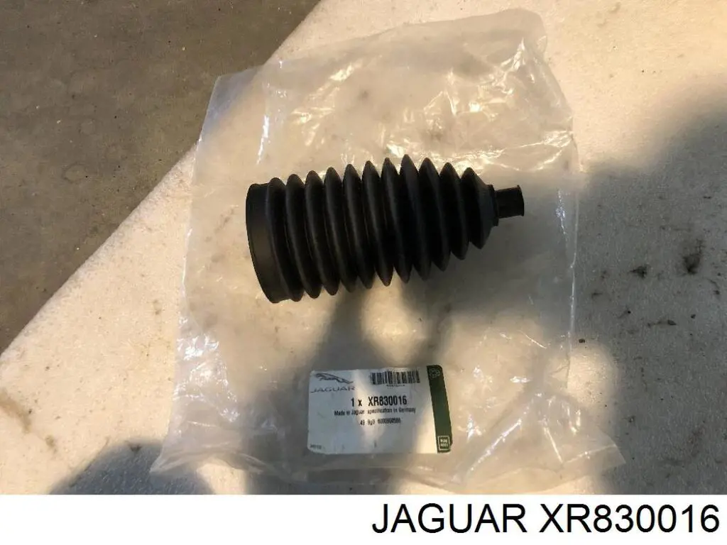 XR830016 Jaguar