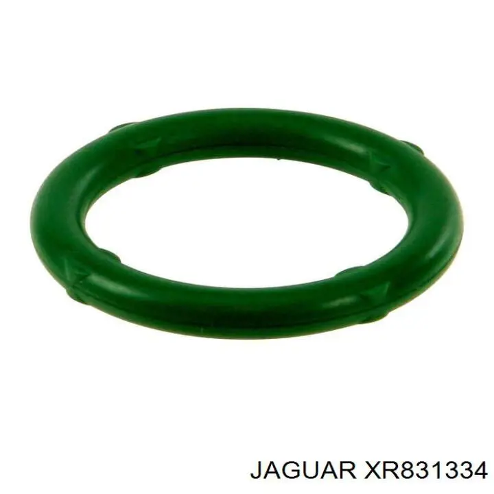 XR831334 Jaguar 