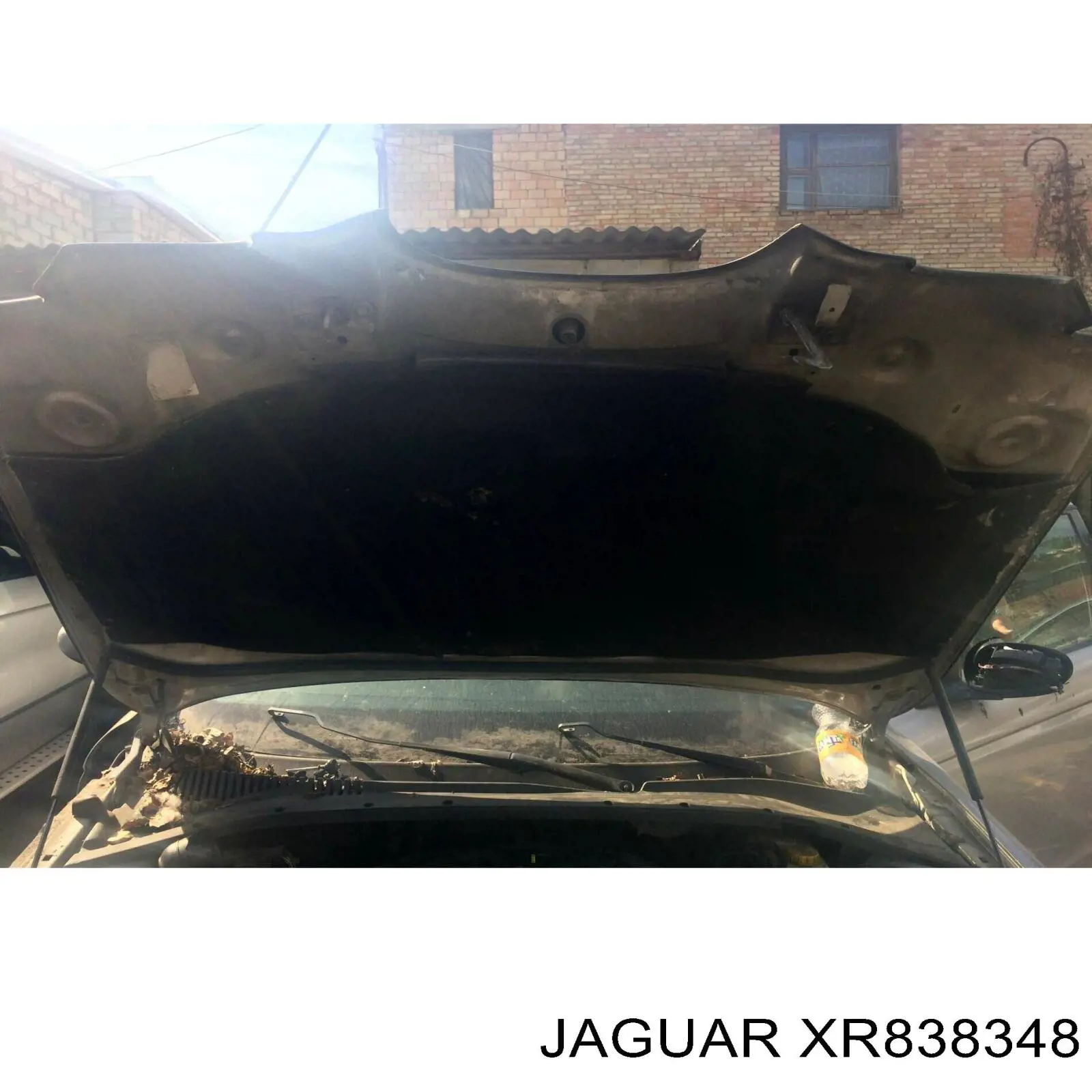 XR843374 Jaguar шумоизоляция капота