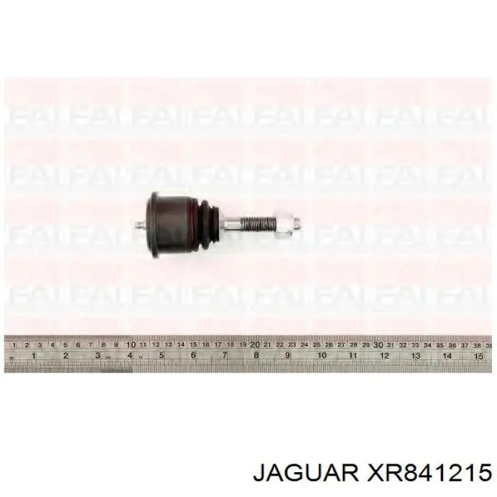 XR841215 Jaguar шаровая опора нижняя