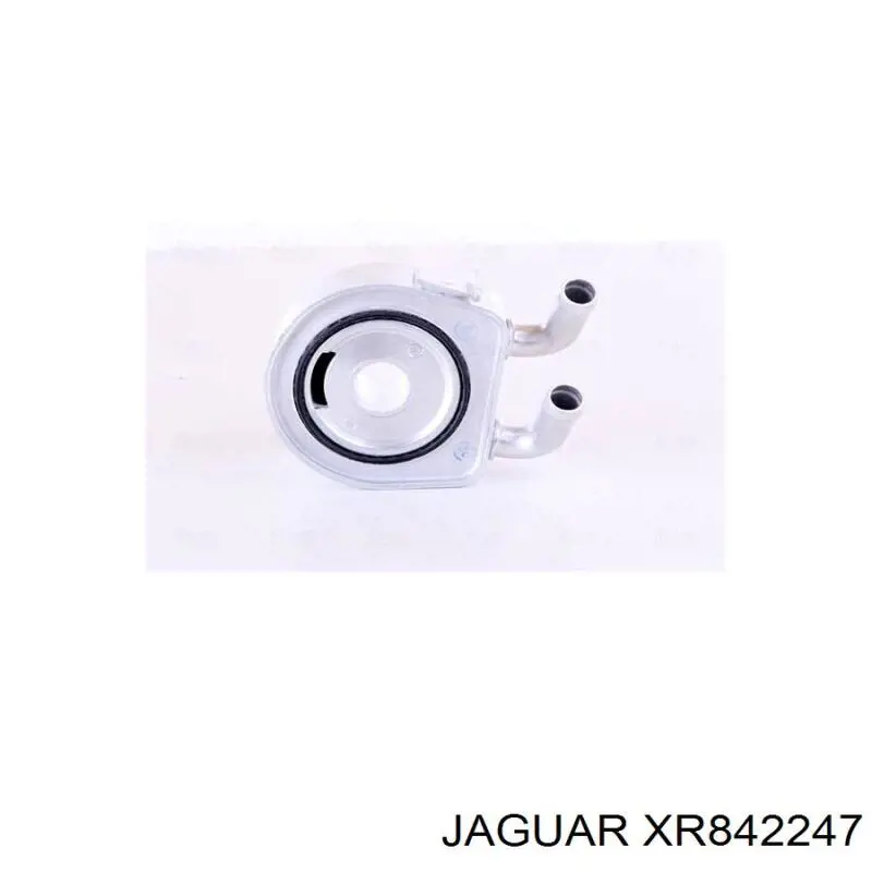 Купить XR842247 Jaguar 