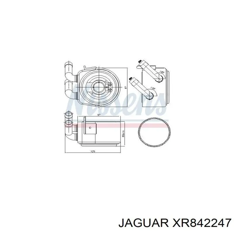  4443555 Ford