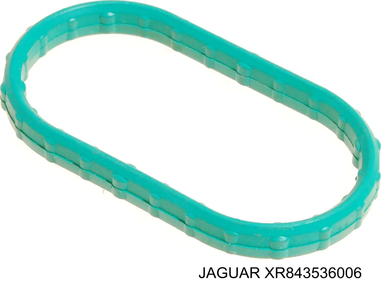  XR843536006 Jaguar