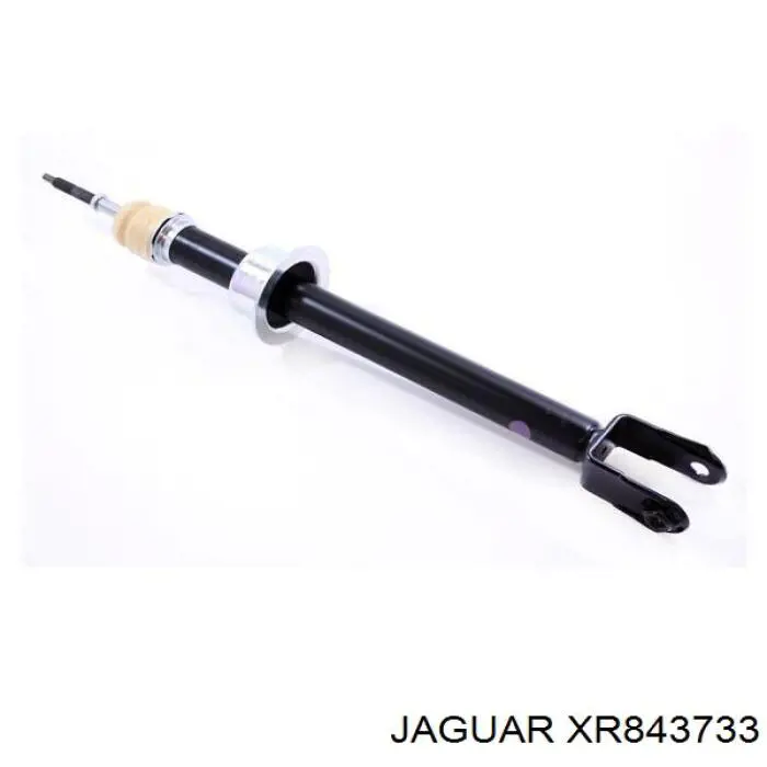 XR843733 Jaguar amortecedor dianteiro