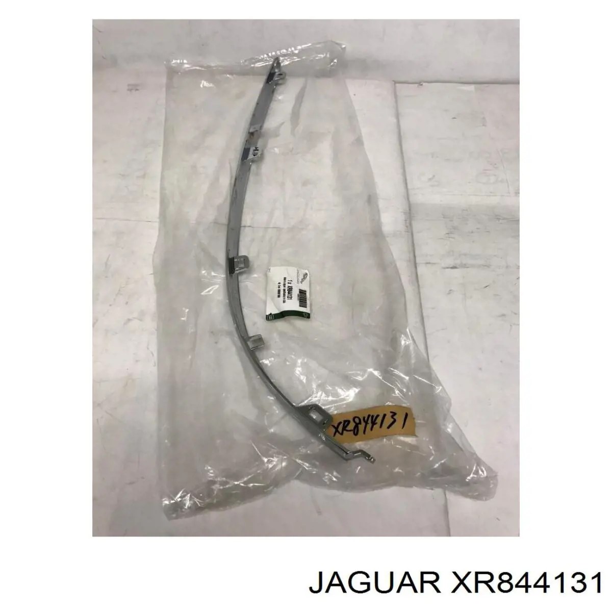  XR844131 Jaguar