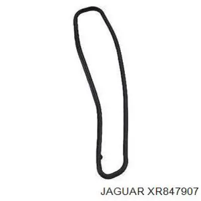 XR85380 Jaguar Прокладка клапанной крышки двигателя внутренняя