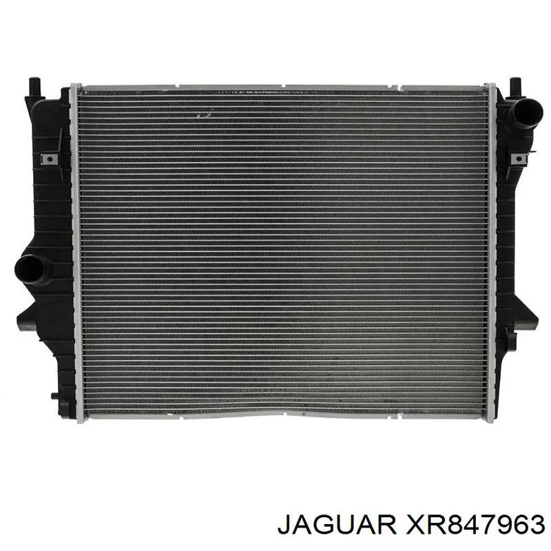 XR847963 Jaguar 