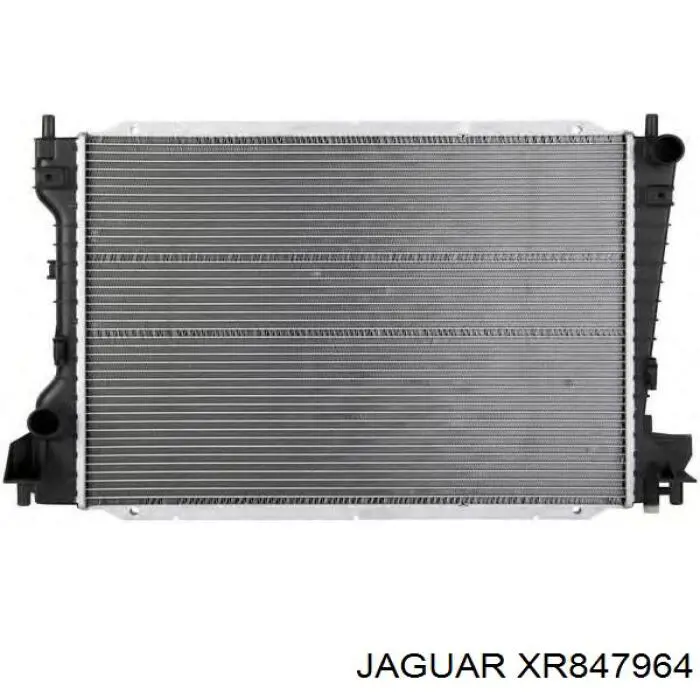 XR847964 Jaguar радиатор