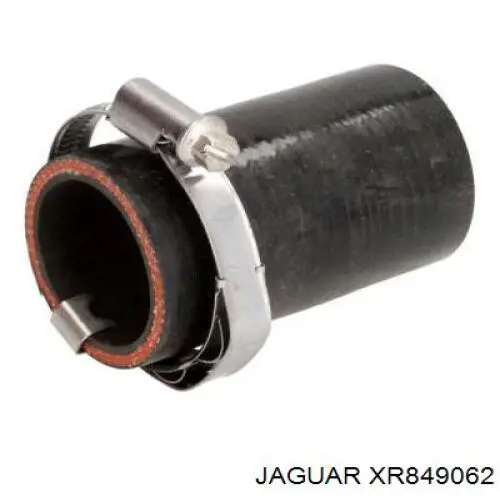 XR849058 Jaguar 