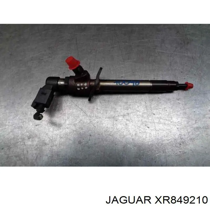  XR849210 Jaguar