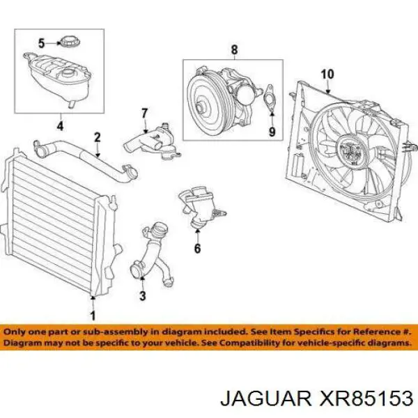  XR85153 Jaguar