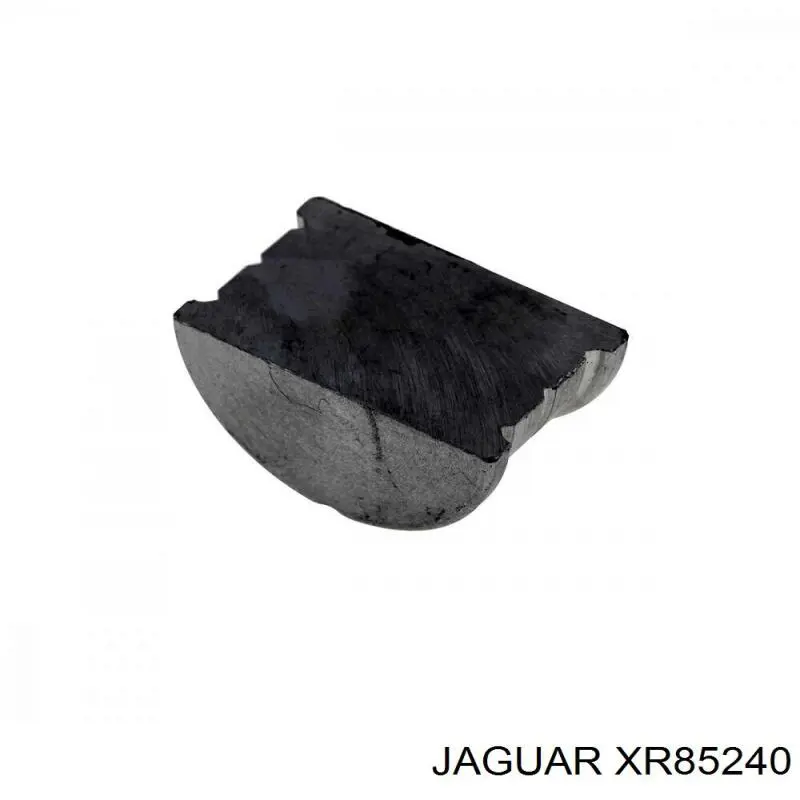 XR85240 Jaguar 