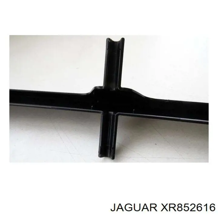  XR852616 Jaguar