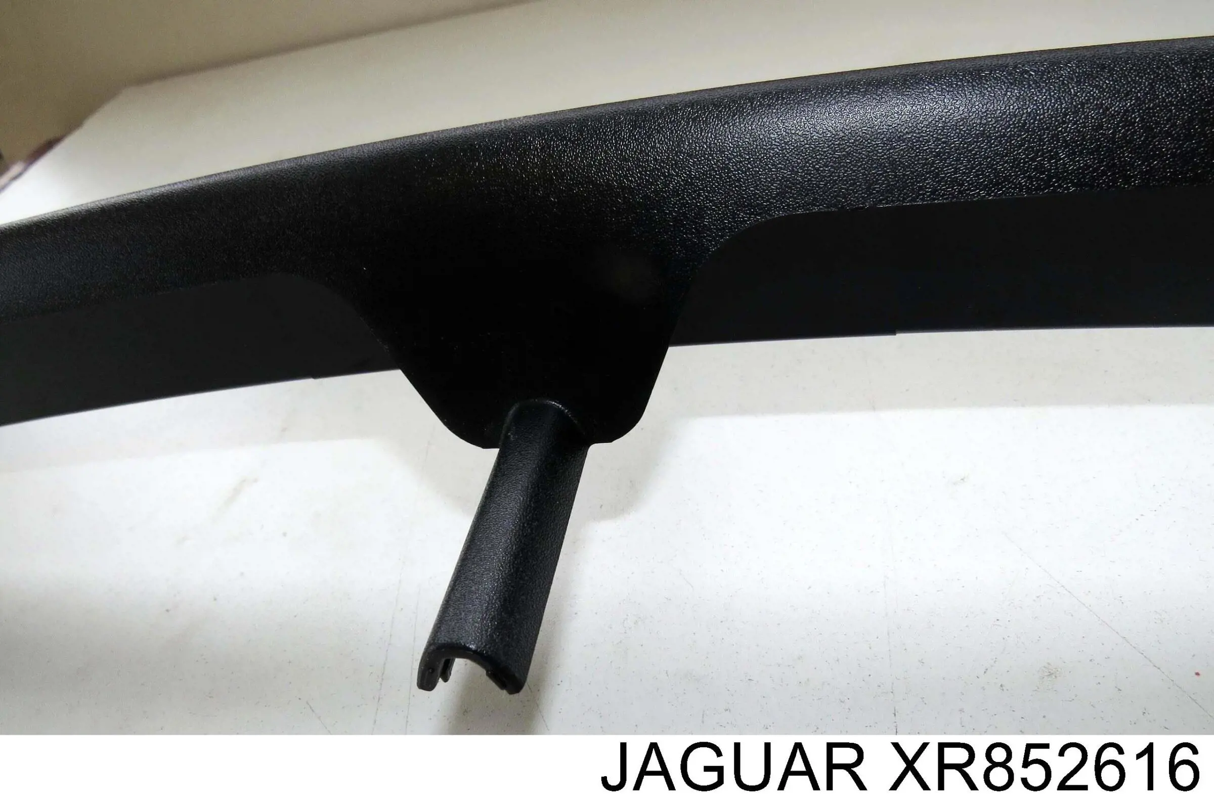 XR852616 Jaguar 