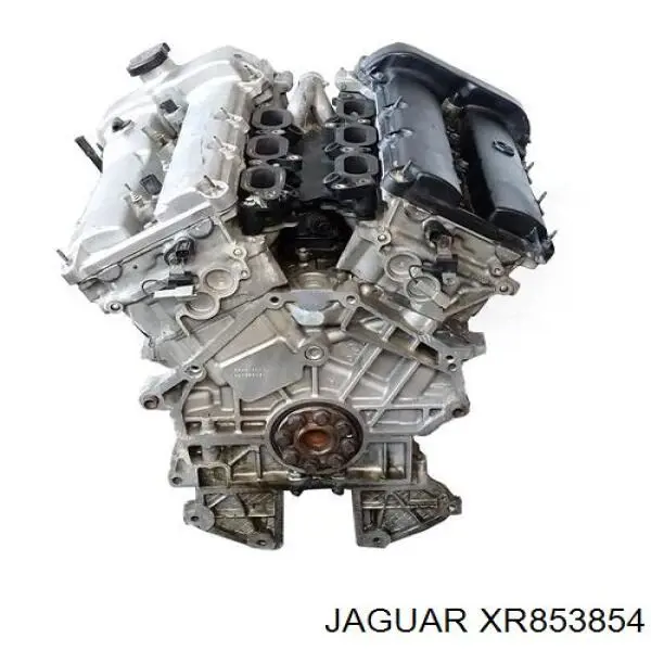 C2C8254 Jaguar 