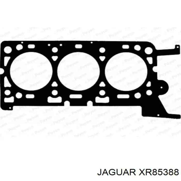 XR85388 Jaguar vedante esquerdo de cabeça de motor (cbc)