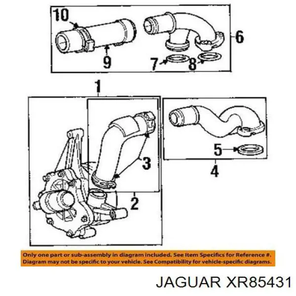  XR85431 Jaguar