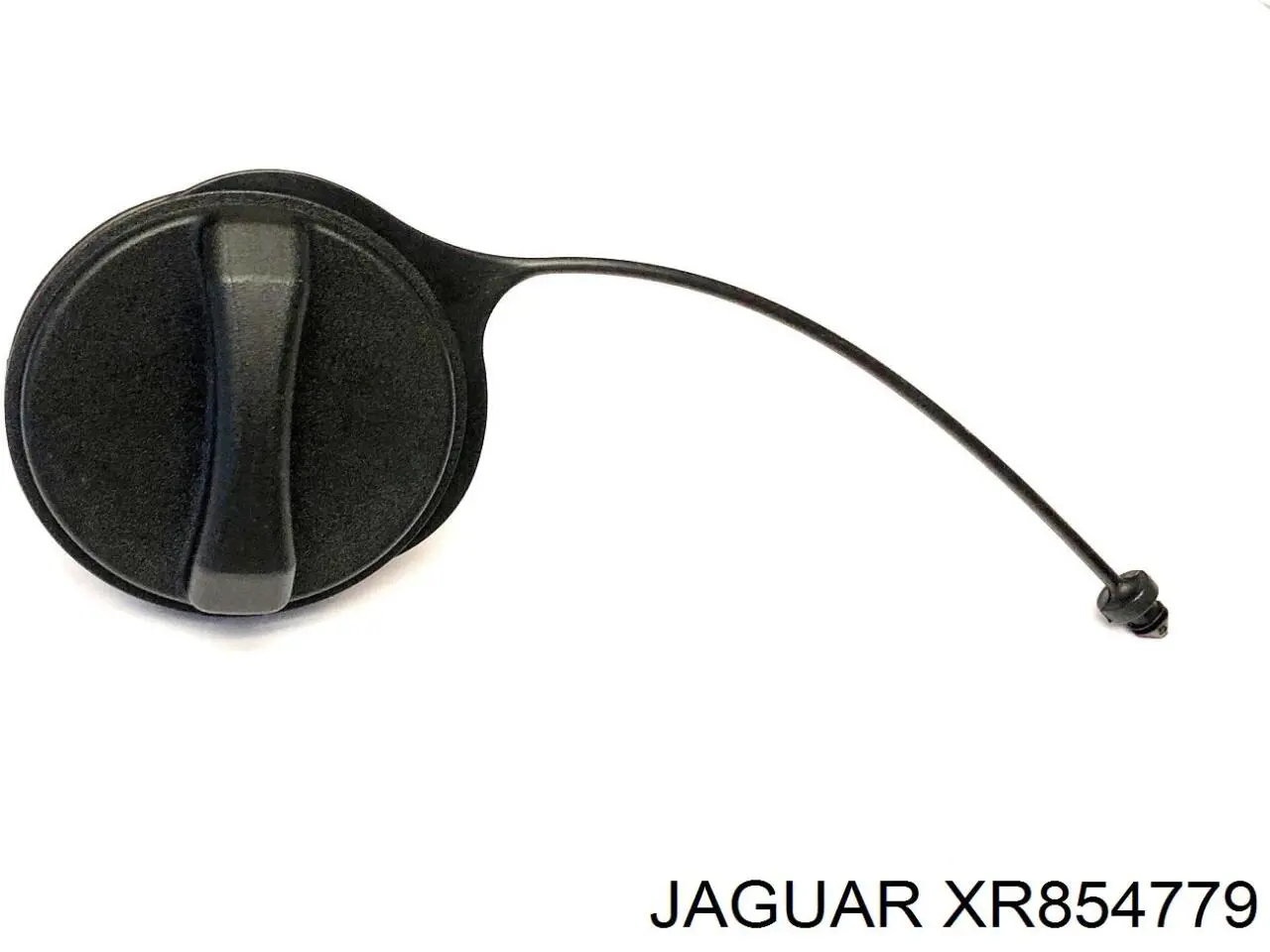 XR854779 Jaguar 