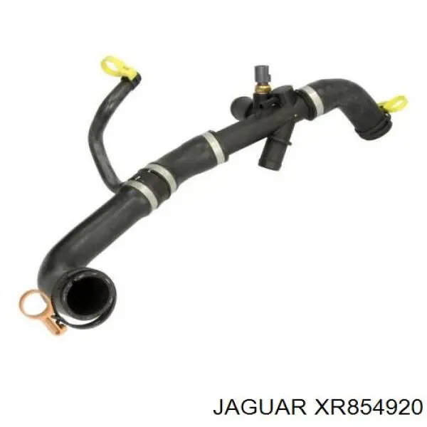 XR839115 Jaguar mangueira (cano derivado do radiador de esfriamento superior)