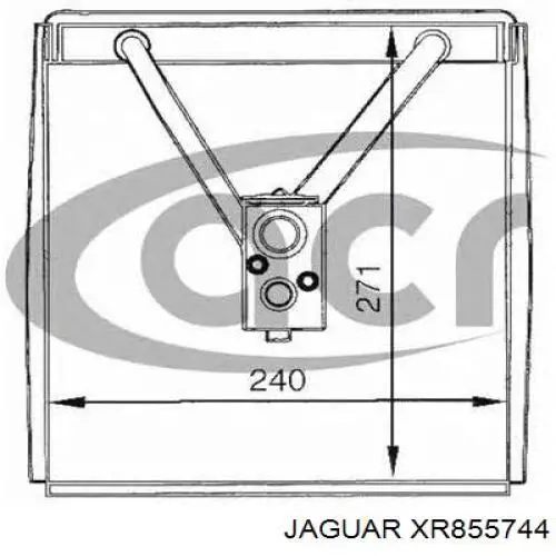 XR855744 Jaguar 