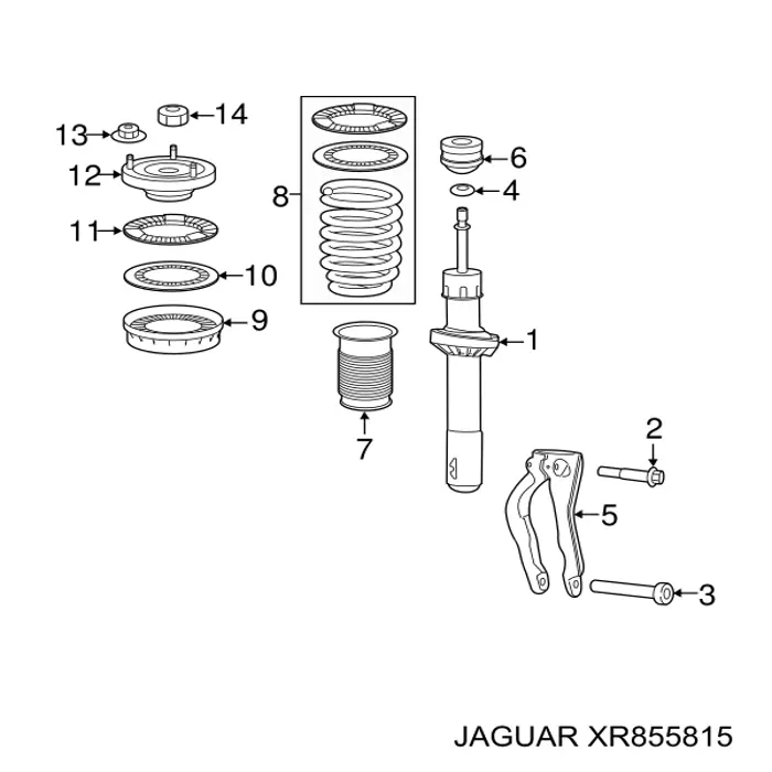 XR855815 Jaguar 