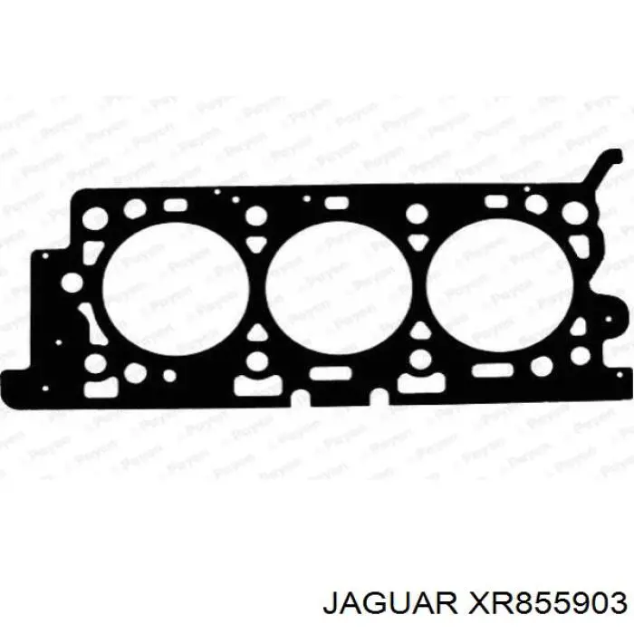 Прокладка головки блока цилиндров (ГБЦ), правая Jaguar XR843470 цена, от 93.10 USD