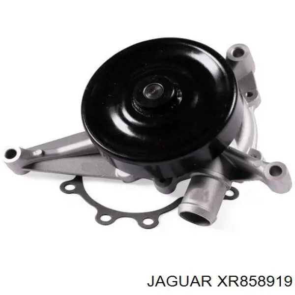 XR858919 Jaguar помпа