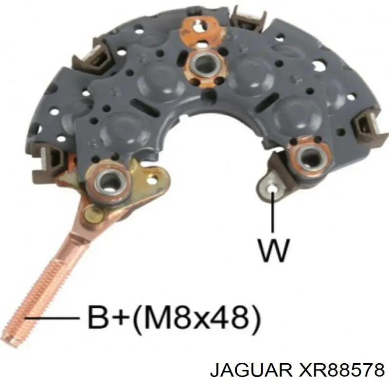 XR842453 Jaguar polia do gerador