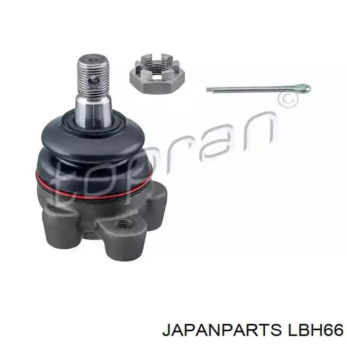 Нижняя шаровая опора LBH66 Japan Parts