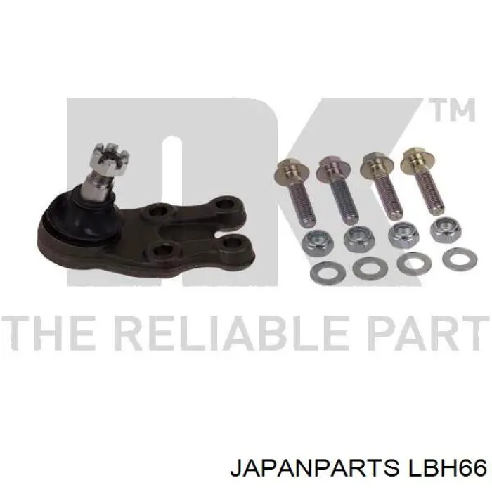 Rótula de suspensión inferior LBH66 Japan Parts