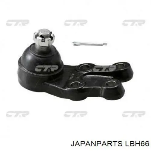 Шаровая опора, нижняя Japan Parts LBH66 цена, от 15.21 USD