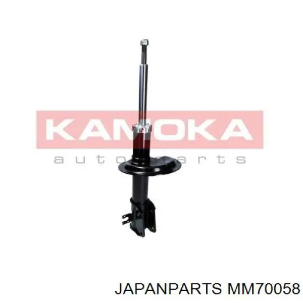 Стойка амортизатора задняя Raiso RS340057 цена, от 30.02 USD