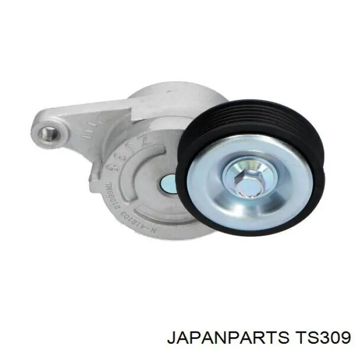 TS309 Japan Parts