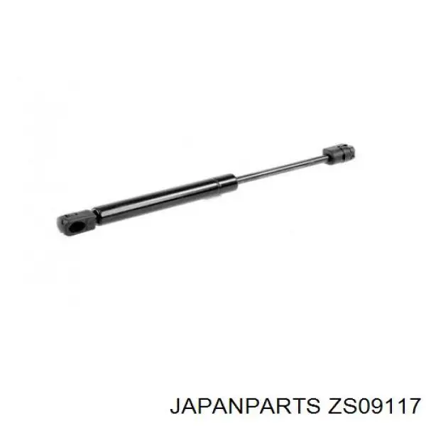 ZS09117 Japan Parts