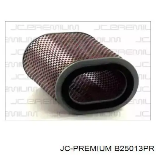 Воздушный фильтр B25013PR JC Premium